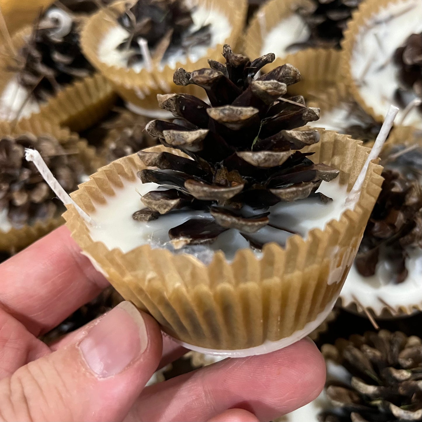 pinecone-wax-fire-starter-2-pack